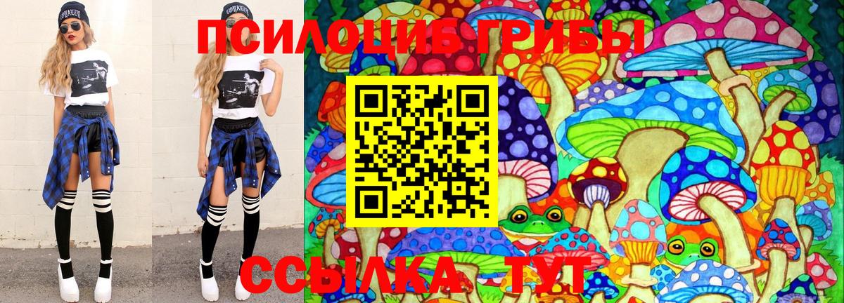 Усть-Джегута  Галлюциногенные грибы мицелий  Вход с VPN 