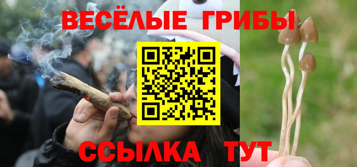 Псилоцибиновые грибы мицелий Усть-Джегута